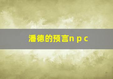 潘德的预言n p c